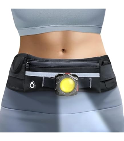 Amazon | マイルストーン（マイルストーン） LEDライト